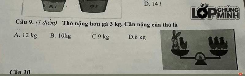 meme đồ thị hay