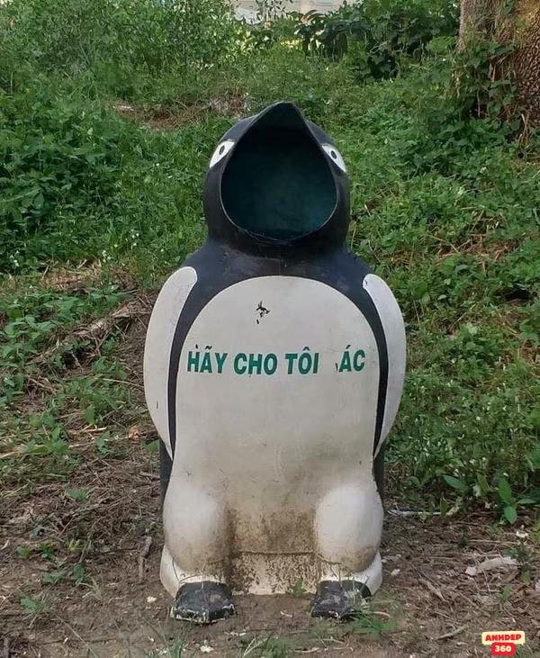 meme động vật bựa