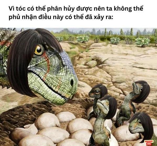 meme động vật cười