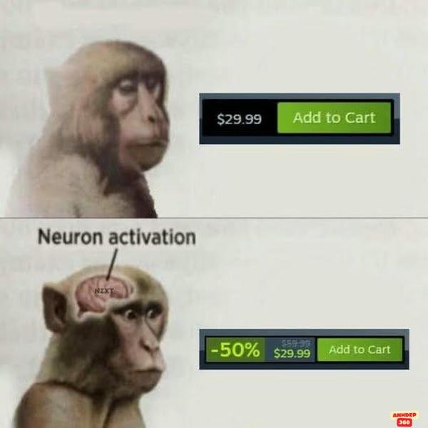 meme động vật cute