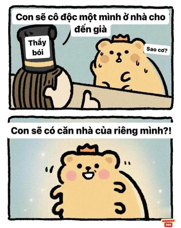 meme động vật dep