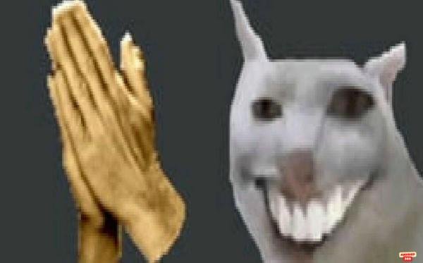 meme động vật hãm