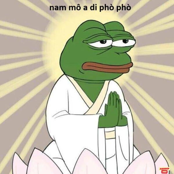 meme ếch xanh bái phật