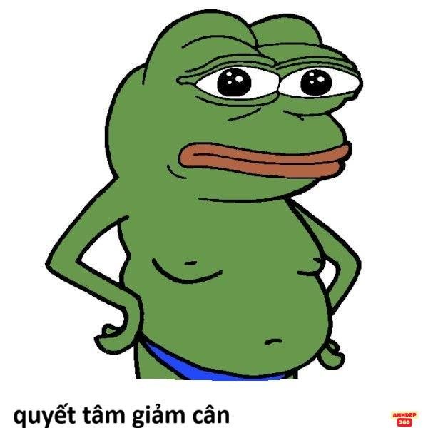 meme ếch xanh béo