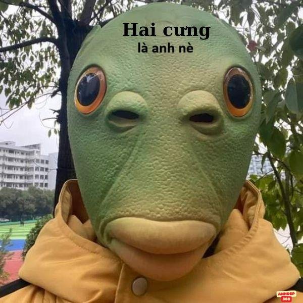meme ếch xanh chào