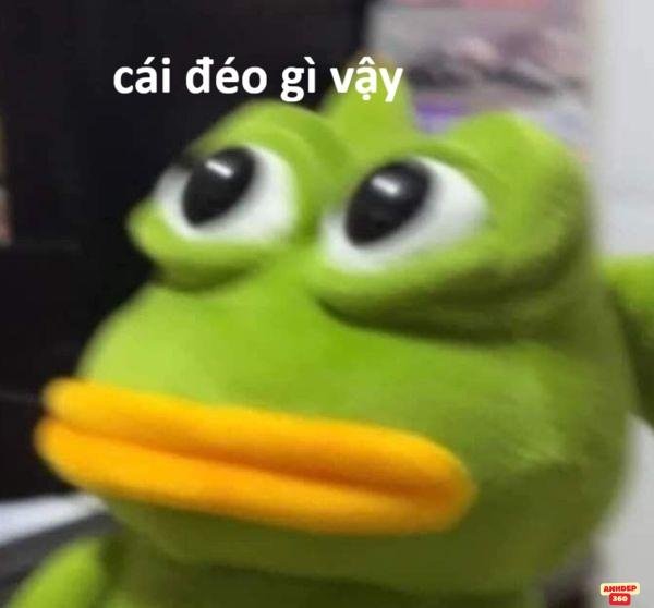 meme ếch xanh chợn mắt