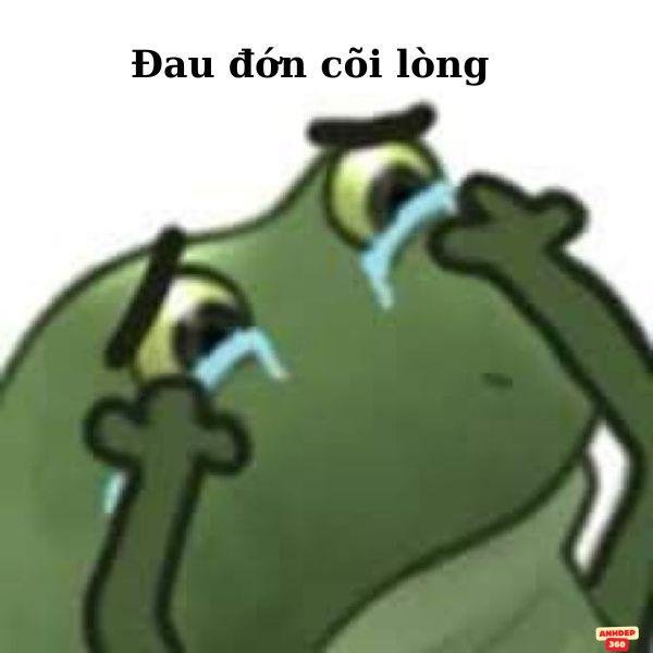 meme ếch xanh đau đớn