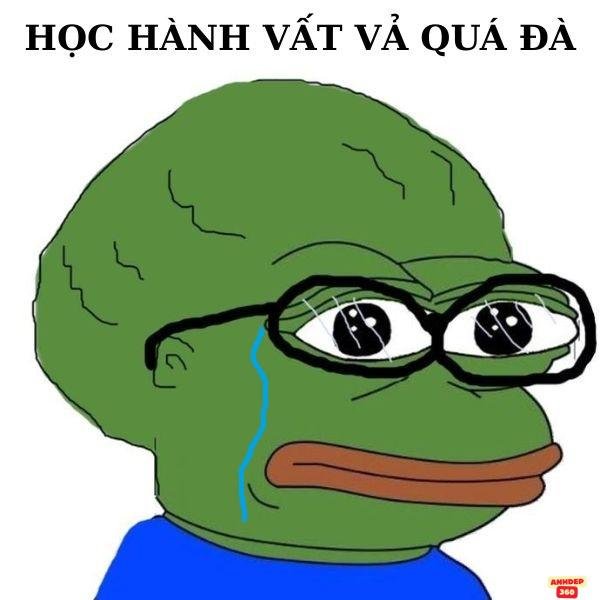 meme ếch xanh đeo kính