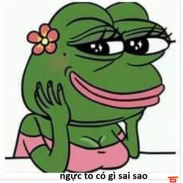 meme ếch xanh đĩ