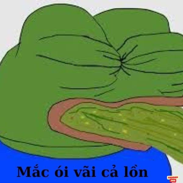 meme ếch xanh lôn