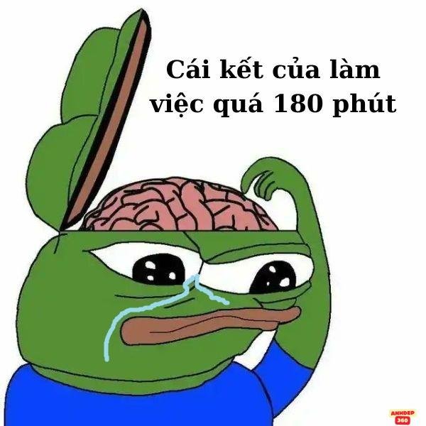 meme ếch xanh mở não