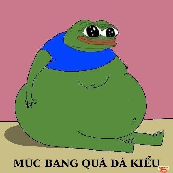 meme ếch xanh múc bag