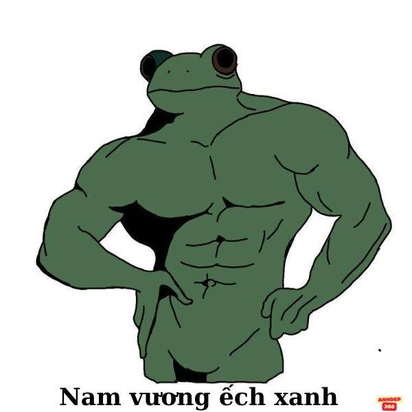 meme ếch xanh nam vương