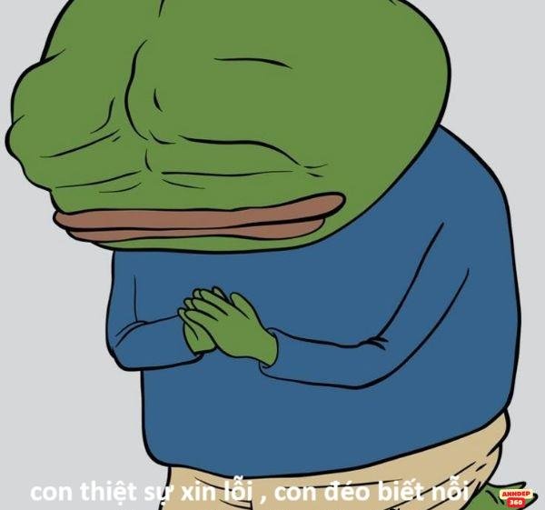 meme ếch xanh quỳ lậy