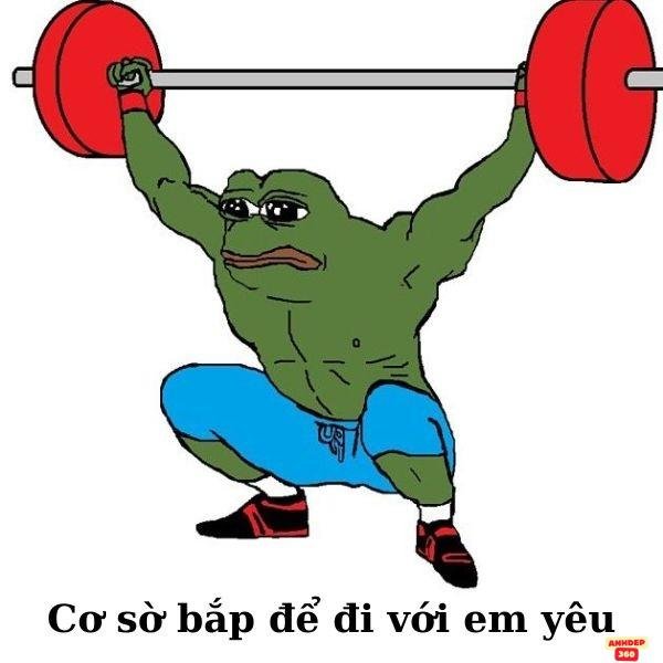 meme ếch xanh tập tạ