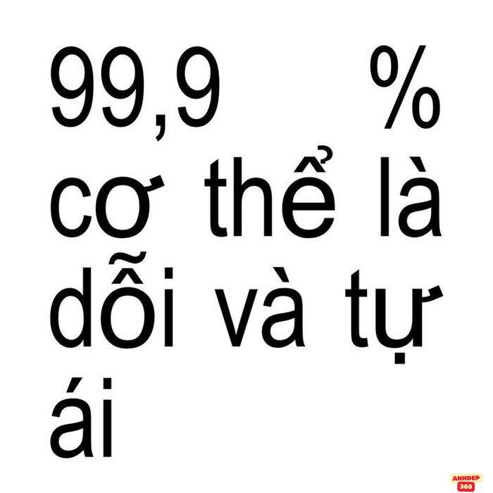 meme font chữ chế