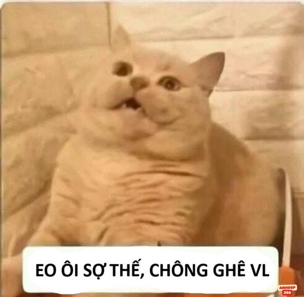 meme gương mặt sợ quá bá đạo