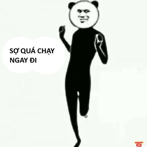 meme hài hước sợ quá vui nhộn