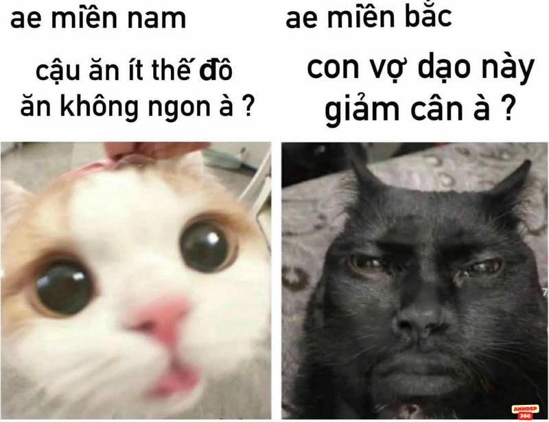 meme hay đấy giờ nó là của t