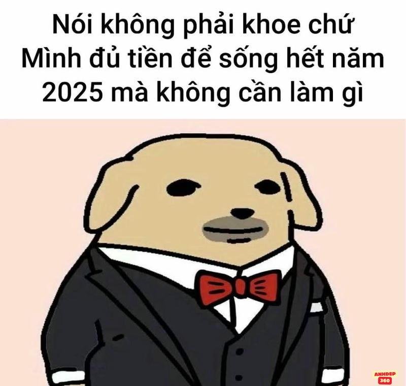 meme hay đấy