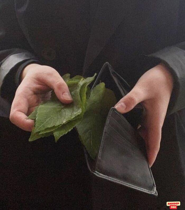 meme hết tiền chế bựa