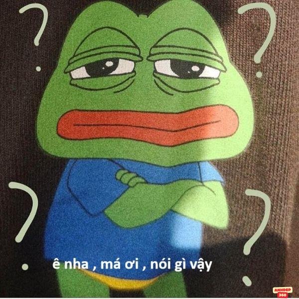 meme hỏi chấm ếch xanh
