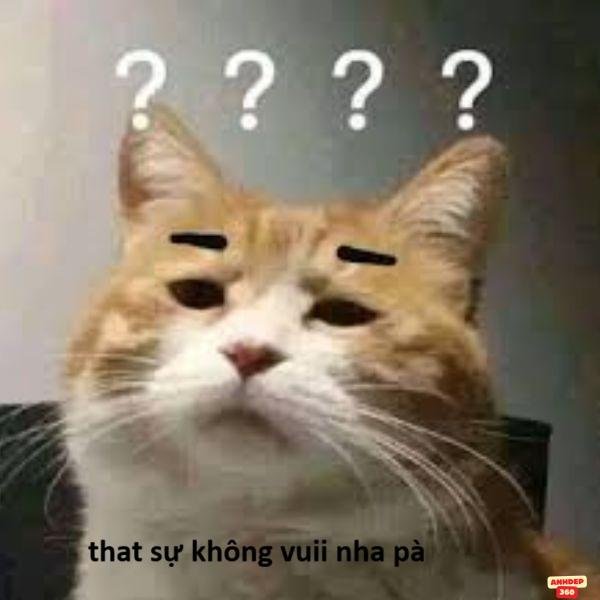 meme hỏi chấm siêu bựa