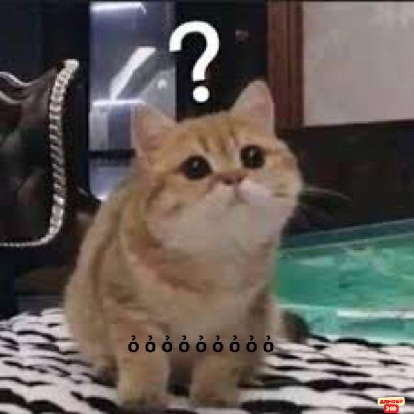 meme hỏi chấm siêu hài