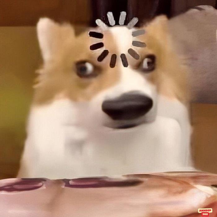 Cười xỉu với bộ ảnh meme khó hiểu