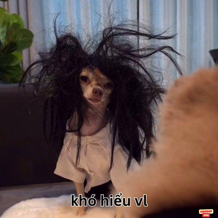 meme khó hiểu hài nhất