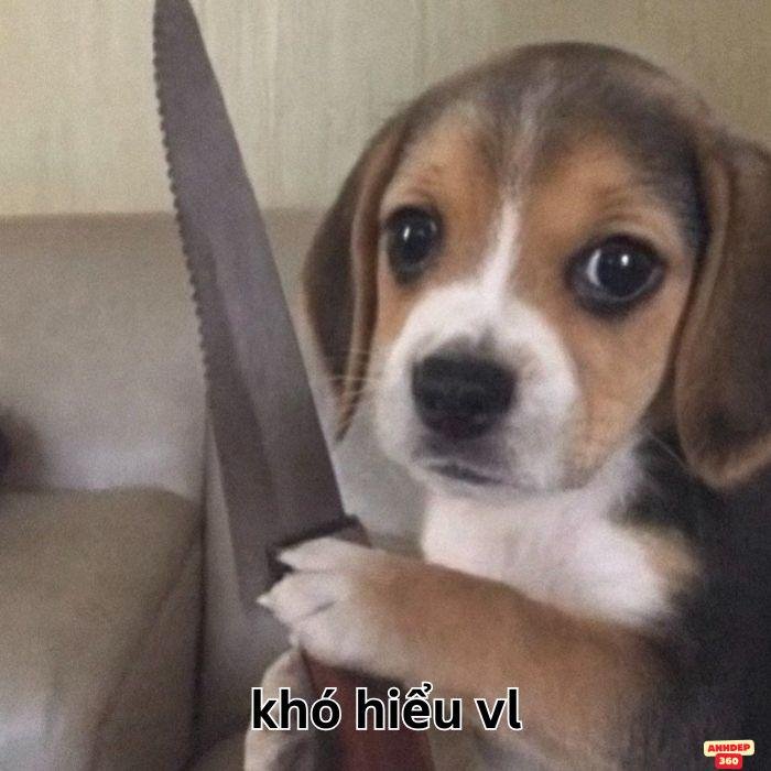 meme khó hiểu siêu hài