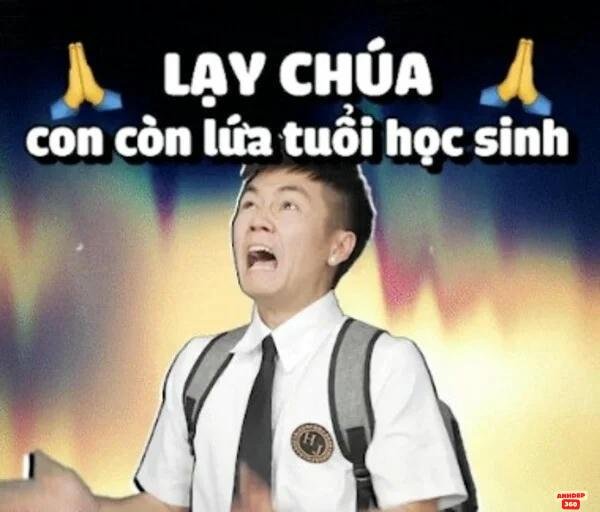 meme lạy trúa