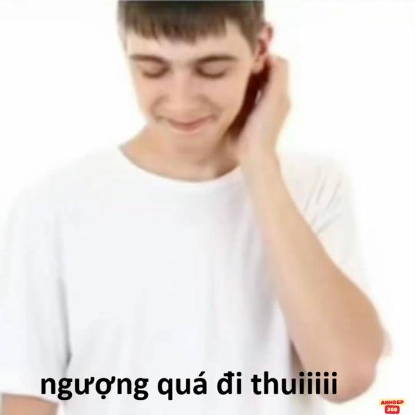 meme maker chất