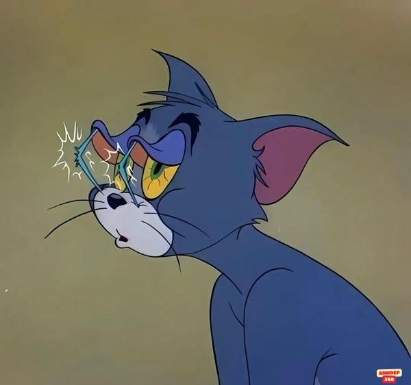 meme mèo tôm chống mắt