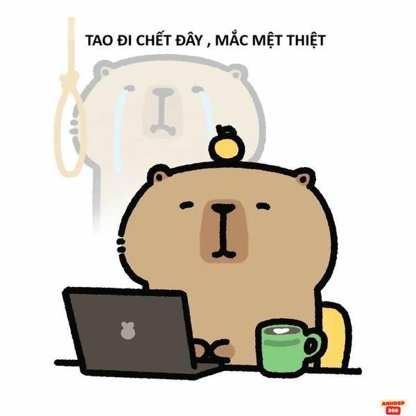 meme mệt mỏi cute