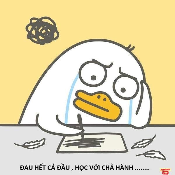meme mệt mỏi hài chế
