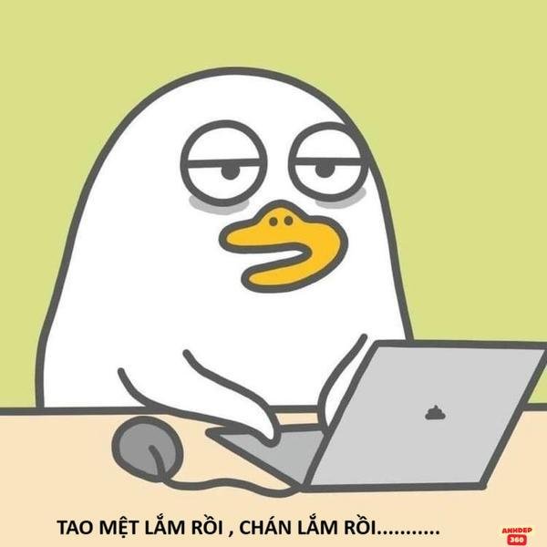 meme mệt mỏi hài