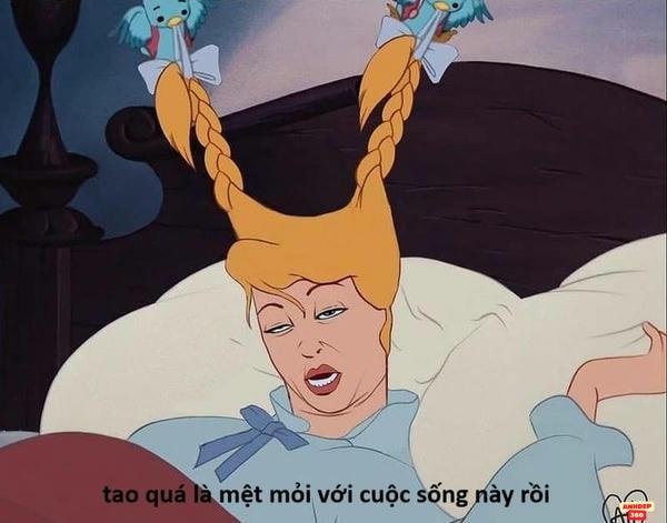 meme mệt mỏi ko tỉnh