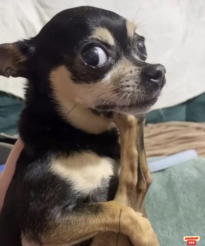 meme ngạc nhiên hài nhất