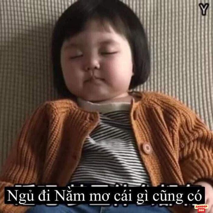 meme ngủ cực đáng yêu