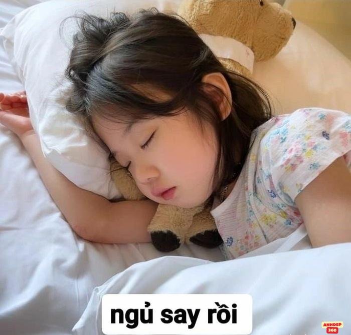 Bộ sưu tập ảnh meme ngủ gật “vô tri”