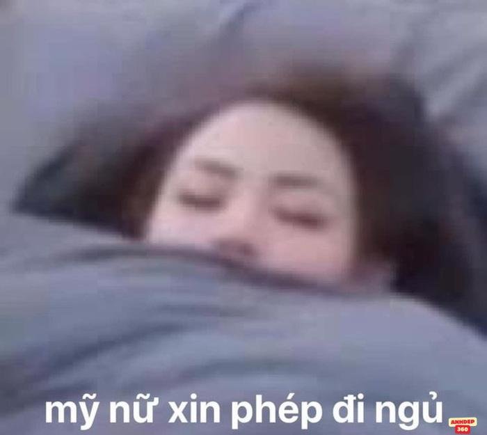 meme ngủ mỹ nữ