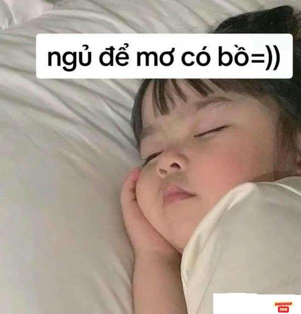 meme ngủ ngon đáng yêuu