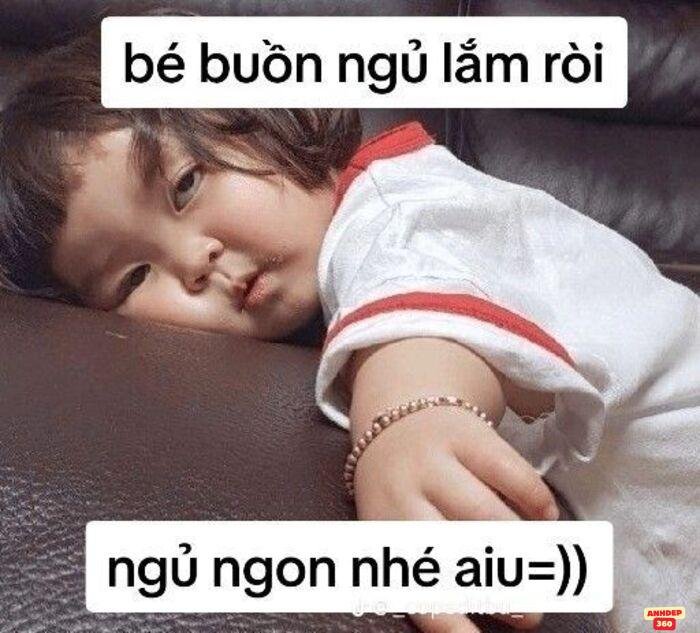 meme ngủ siêu đáng yêu