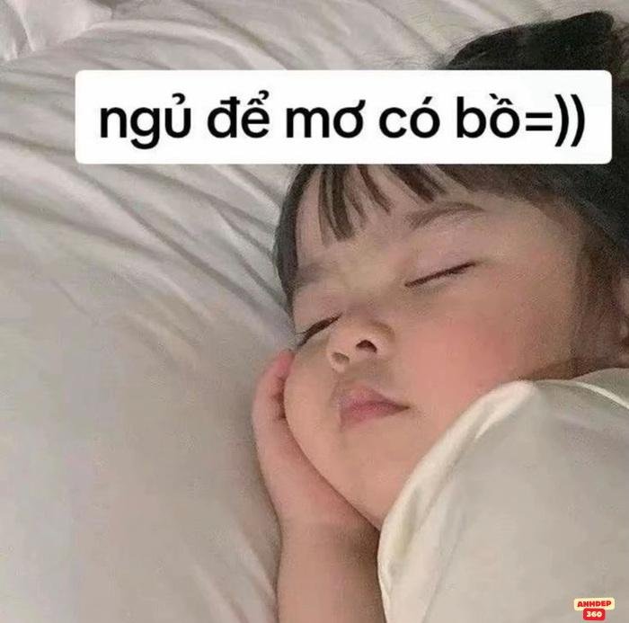 meme ngủ xinh