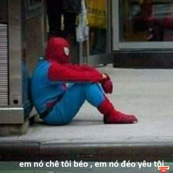 meme người nhện