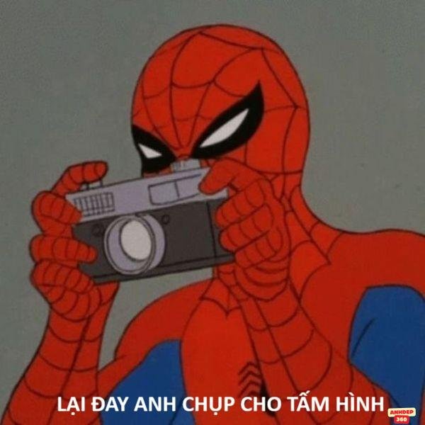 meme người nhện bựa