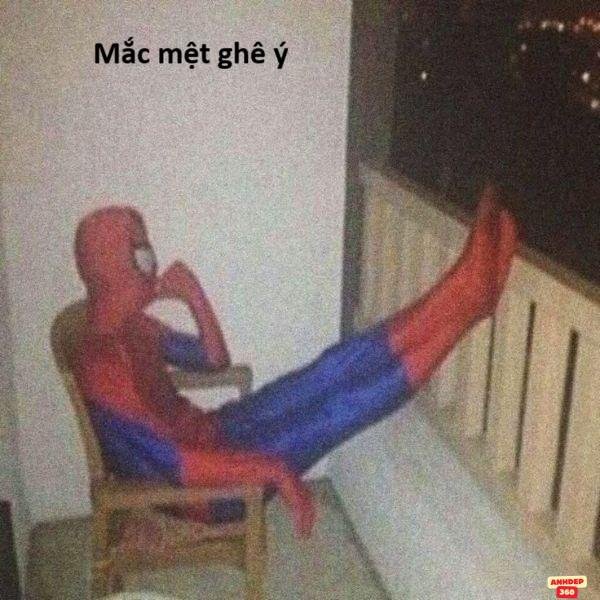 meme người nhện troll