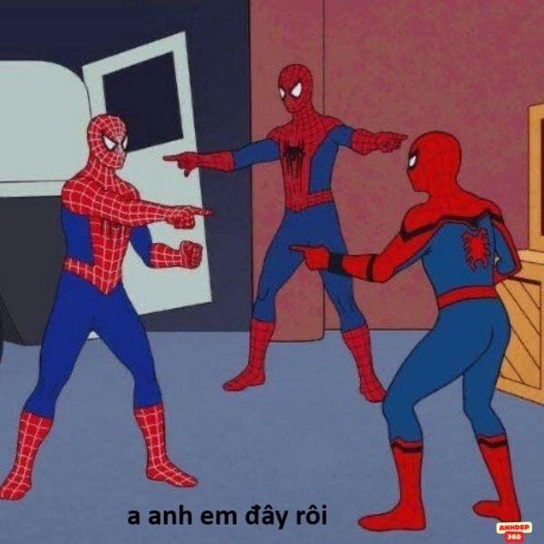 meme người nhện