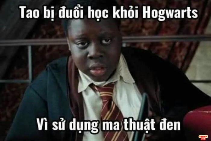 meme pictures 4k bá đạo